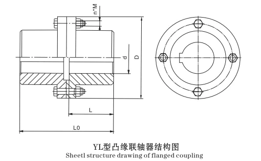 Large flanged coupling for mining conveyor crusher drive